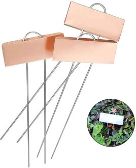 10Pcs Makkelijk Lezen Nursery Tag Grote Geconfronteerd Planten Marker Huis Tuin Yard Kas Ondertekening Herbruikbare Bloempot 10 Inch schuine