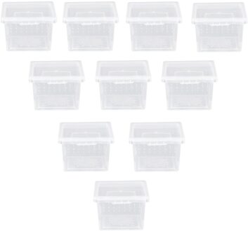 10Pcs Praktische Reptiel Fokkerij Doos Insect Voerbox Draagbare Creeper Huis