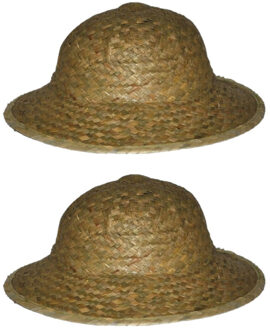 10x stuks safarihoed van stro - carnaval verkleed hoeden