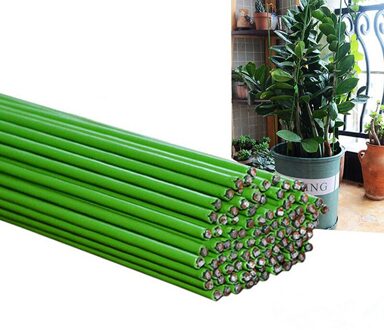 10x Vaste Hoepel Plant Kooi Klimmen Wijnstok Beugel Tuinieren Pijler Ingemaakte 3Mm * 60Cm
