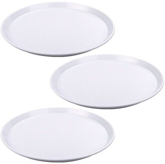 10x Witte kunststof borden - 34 cm - Dinerbord - Barbecuebord - Camping bord