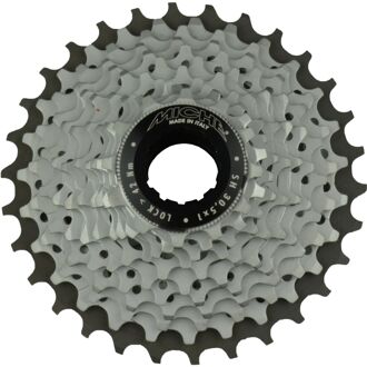 11 Speed Cassette 12-25T Zilver