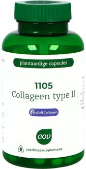 1105 Collageen type II