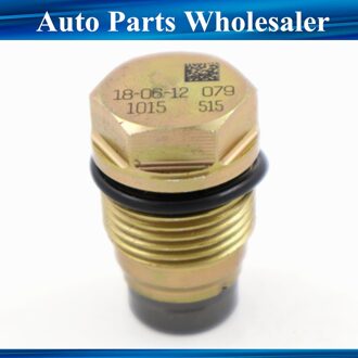 1110010015 1110010018 1110010028 Brandstof Rail Overdrukventiel Limiter Klep