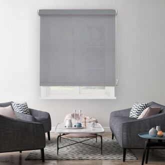 1192 Lichtdoorlatend Rolgordijn Lichtgrijs 120x250cm