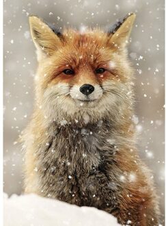 11CT Gestempeld Borduurpakketten Dieren Gedrukt Art Craft Opknoping Foto Diy Mozaïek Handwerken Voor Thuis Muur Decor D--36x46CM Fox