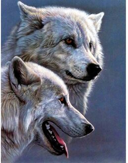 11CT Gestempeld Borduurpakketten Dieren Gedrukt Art Craft Opknoping Foto Diy Mozaïek Handwerken Voor Thuis Muur Decor E--36x46CM Wolf