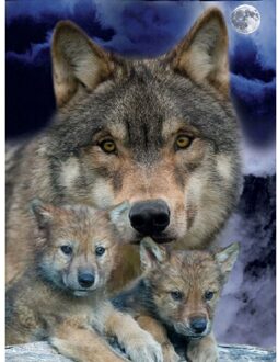 11CT Gestempeld Borduurpakketten Dieren Gedrukt Art Craft Opknoping Foto Diy Mozaïek Handwerken Voor Thuis Muur Decor F--36x46CM Wolves