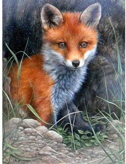 11CT Gestempeld Borduurpakketten Dieren Gedrukt Art Craft Opknoping Foto Diy Mozaïek Handwerken Voor Thuis Muur Decor G--36x46CM rood Fox