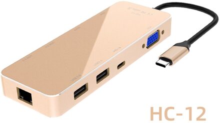 11in1 Usb Type C Hub Adapter Voor Samsung Huawei Macbook Ethernet ,4K Hdmi, Vga, AUX3.5, usb 3.0 Poorten, Tf Sd Reader, Pd Fast Charger HC12 goud