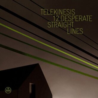 12 Desperate Straight Lines