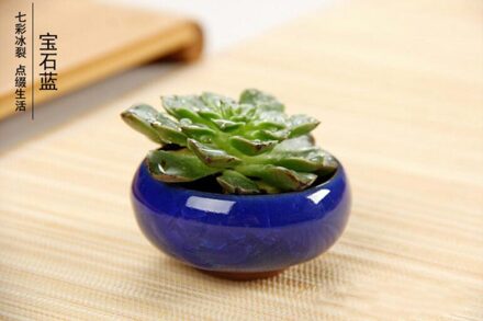 12 Pcs Ice-Crack Keramische Bloempotten Plantenbakken Voor Sappige Planten Mini Bonsai Pot Thuis Tuin Decoratie Vetplant potten GYH donker blauw