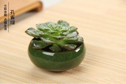12 Pcs Ice-Crack Keramische Bloempotten Plantenbakken Voor Sappige Planten Mini Bonsai Pot Thuis Tuin Decoratie Vetplant potten GYH donker groen