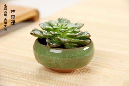 12 Pcs Ice-Crack Keramische Bloempotten Plantenbakken Voor Sappige Planten Mini Bonsai Pot Thuis Tuin Decoratie Vetplant potten GYH licht groen