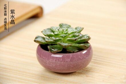 12 Pcs Ice-Crack Keramische Bloempotten Plantenbakken Voor Sappige Planten Mini Bonsai Pot Thuis Tuin Decoratie Vetplant potten GYH paars