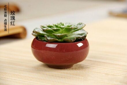12 Pcs Ice-Crack Keramische Bloempotten Plantenbakken Voor Sappige Planten Mini Bonsai Pot Thuis Tuin Decoratie Vetplant potten GYH rood