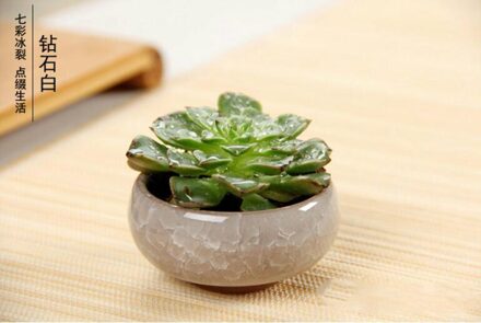 12 Pcs Ice-Crack Keramische Bloempotten Plantenbakken Voor Sappige Planten Mini Bonsai Pot Thuis Tuin Decoratie Vetplant potten GYH wit
