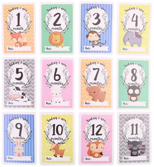 12 Sheet Milestone Photo Sharing Cards Gift Set Baby Age Cards - Baby Milestone Cards, Baby Photo Cards - Newborn Photo