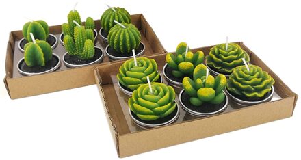 12 Stks/set Home Decor Cactus Evenementen Planten Pot Ongeparfumeerde Succulent Anniversary Wedding Party Gunsten Verjaardag Theelichtje Kaarsen