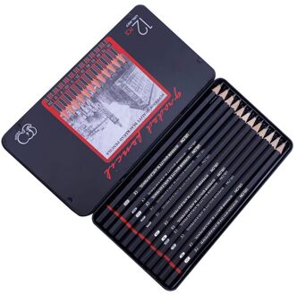 12 Stks/set Professionele Schets Tekening Potlood Set 2H H F B Hb 2B 3B 4B 5B 6B 7B 8B schilderij Tekening Potloden Briefpapier Leveringen geel