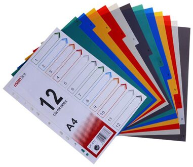 12 Stuks Pagina Divider Kleurrijke Classificatie Pagina Tab Voor Notebook Memo (A4)