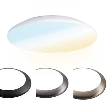 12 Wat 2700K, 4000K & 5000K IP65 Wit