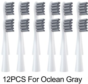 12Pcs Vervangen Opzetborstel Nozzles Voor Oclean X Pro/ X/Zi/F1/Air 2/een/Se Sonic Elektrische Tandenborstel Diepe Reiniging Hoofden 12stk grijs
