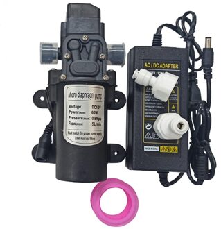 12V 60W 5L/min Mini Pomp voor Mist Koelsysteem