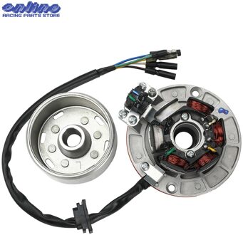 12V AC Ignition Magneto Stator Flywheel kit With Light For YINXIANG YX 140cc 150cc 160cc KAYO BSE SDG SSR Pitsterpro Dirt Bike