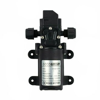 12V Waterpomp 4.3Lpm Zelfaanzuigende Caravan Camping Boot Elektrische Wasstraat Mini Pomp Geribbelde Op Zowel zijden