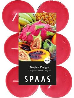 12x Maxi theelichten tropische vruchten geurkaarsen Tropical Delight 10 branduren - geurkaarsen Roze