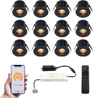 12x Olivia - Mini LED spotjes 12V IP44 Zwart
