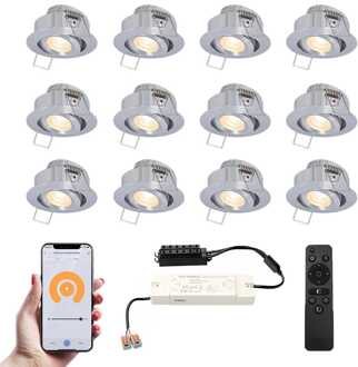 12x Sienna - Mini LED spotjes 12V IP44 Grijs