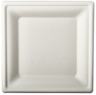 12x stuks witte suikerriet lunchbordjes 20 cm biologisch afbreekbaar