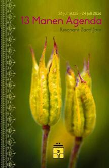 13 Manen Agenda -  Nicole E. Zonderhuis (ISBN: 9789493358928)