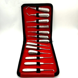 13pcs Dental Elevator Set Made in Pakistan Teeth Extraction Tooth Extracting Forceps Stainless Steel Curved Root Lift Elevator