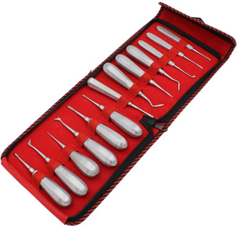 13Pcs Stainless Steel Dental Luxating Lift Elevator Teeth Clareador Curved Root Hexagon Handle Dentist Surgical Instrument Tool