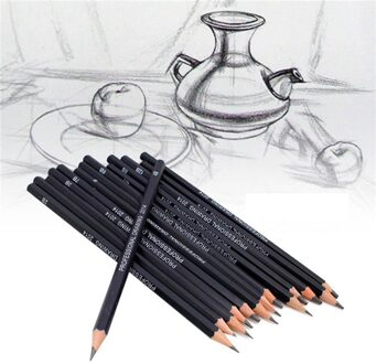 14 Stks/set Professionele Schets Tekening Potlood Set Hb Schilderij Schets Houtskool Potloden Art Schilderen Briefpapier Levert