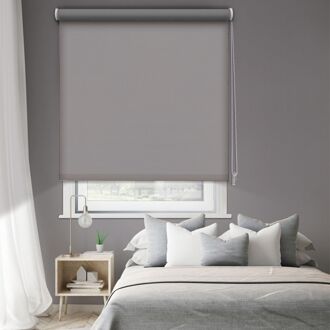 1494 Verduisterend Rolgordijn Lichtgrijs 120x250cm