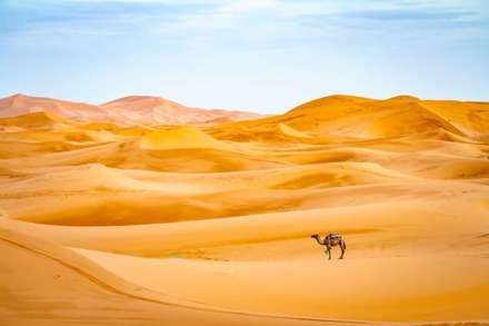15 dagen - Woestijn, cultuur & kust in Marokko