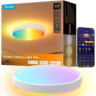 15-Inch RGBICWW Smart Ceiling Light Pro Verlichting