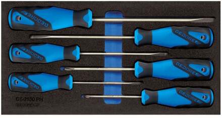 1500 CT1-2150 PH 3-C 6 delige Schroevendraaierset in 1/3 CT module