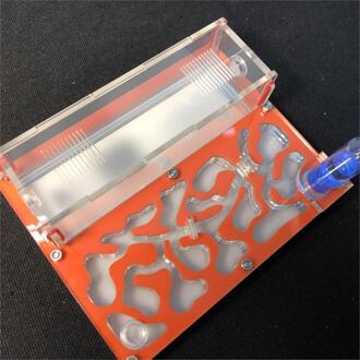 150Mm X 110Mm Reageerbuis Vocht Grote Ruimte Mier Nest ,Ant Farm Acryl, insect Mieren Villa Huis Mieren Ecologische Workshop oranje