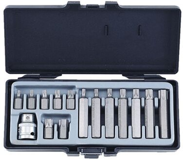 15pc 10mm Star bit set 4156