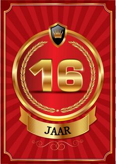 16 jaar deurposter luxe van 59 x 42 cm verjaardag leeftijd feestartikelen - Feestposters Multikleur