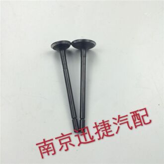 (16 Stks/set) intake Valve/Uitlaatkleppen Voor Chinese Saic Roewe 350 MG3 MG5 1.5L Motor Auto Motor Onderdelen 10020743/10049011 1 lijn