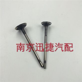 (16 Stks/set) intake Valve/Uitlaatkleppen Voor Chinese Saic Roewe 350 MG3 MG5 1.5L Motor Auto Motor Onderdelen 10020743/10049011 3 Lines