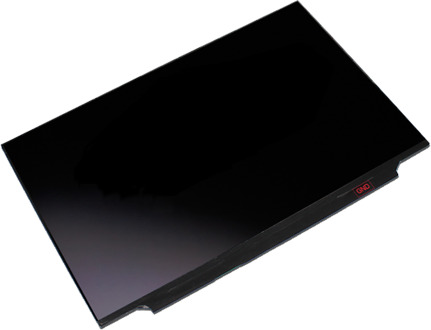 17,3" FHD Mat 1920x1080 Slim 40-pin