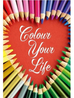 17081/EDU COLOUR YOUR LIFE /Educa 500 piece jigsaw puzzle