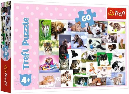 17332 Trefl/60 Puzzel Katten Wereld Jigsaw